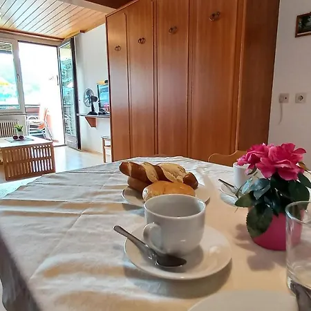 Apartment Maren Seeblick Haus Haensel&gretel Direkt Am Ossiacher Mit Hallenbad