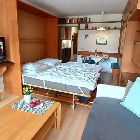 Apartment Maren Seeblick Haus Haensel&gretel Direkt Am Ossiacher Mit Hallenbad