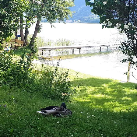 Maren Seeblick Haus Haensel&gretel Direkt Am Ossiacher Mit Hallenbad * Stiegl